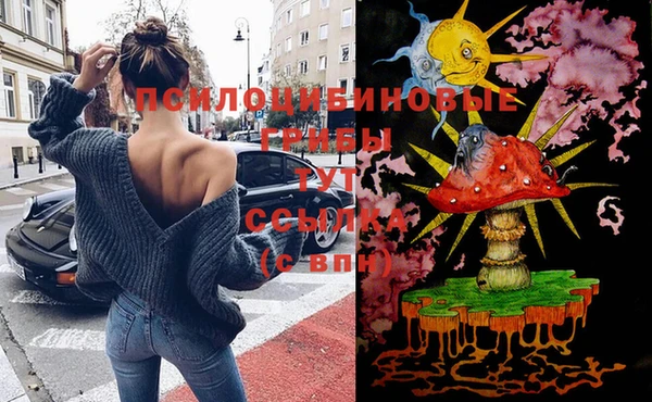 PSILOCYBIN Няндома