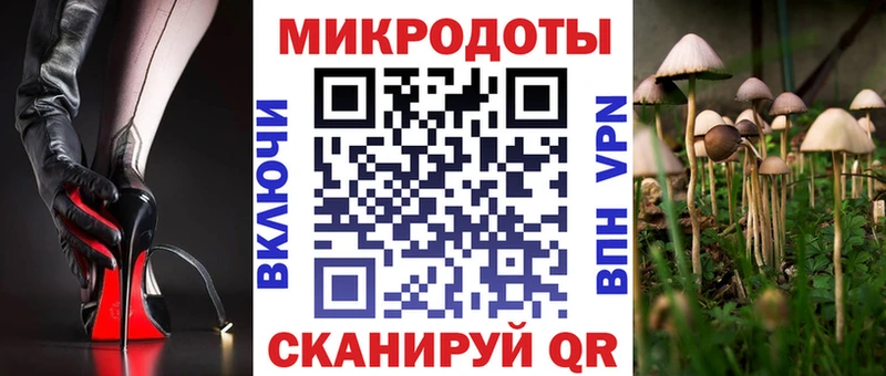 Галлюциногенные грибы Cubensis  blacksprut ТОР  Энем 